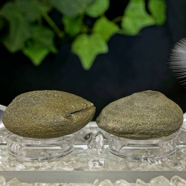 Pop Rocks Kamienie Mocy od Marii Bucardi - znaczenie właściwości działanie - piryt - kule pirytowe