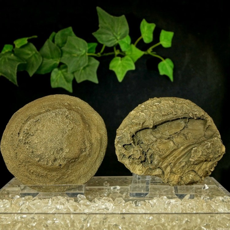 Pop Rocks Kamienie Mocy od Marii Bucardi - znaczenie właściwości działanie - piryt - kule pirytowe